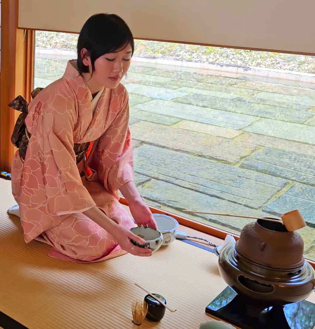 Woman in pink kimono performing Japanese tea ceremony on tatami mat, Tajimi, Japan