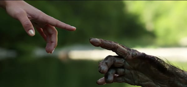 Where Digital Journeys Begin: Meeting Lucy